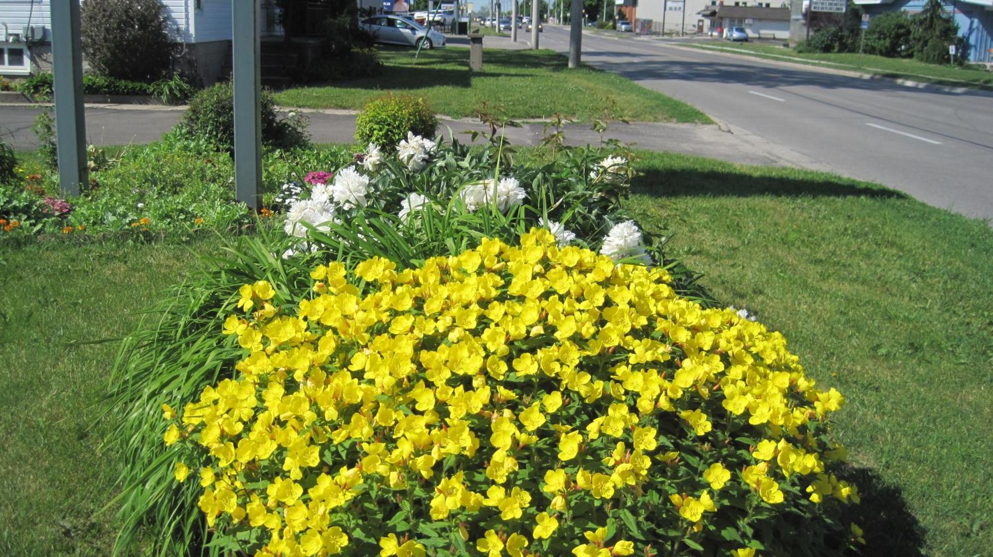 Rosecourt Motel Stratford Zewnętrze zdjęcie
